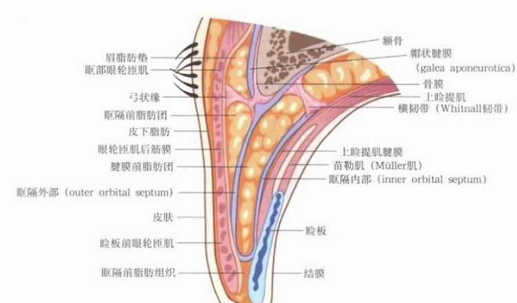 眼镜片有什么区别