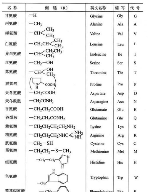 蛋白质的基本构成单位是什么