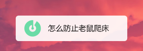 住在宿舍下铺老鼠会爬上来吗