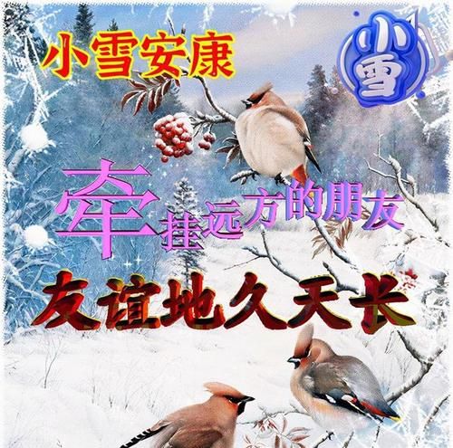 2005年小雪节气祝福语