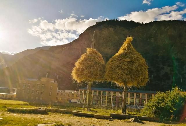 白鹤生活在哪里
，江浙沪最适合生活的居住区在哪里？图8