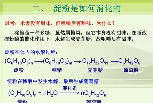 淀粉消化的最终产物为什么是葡萄糖葡萄糖不