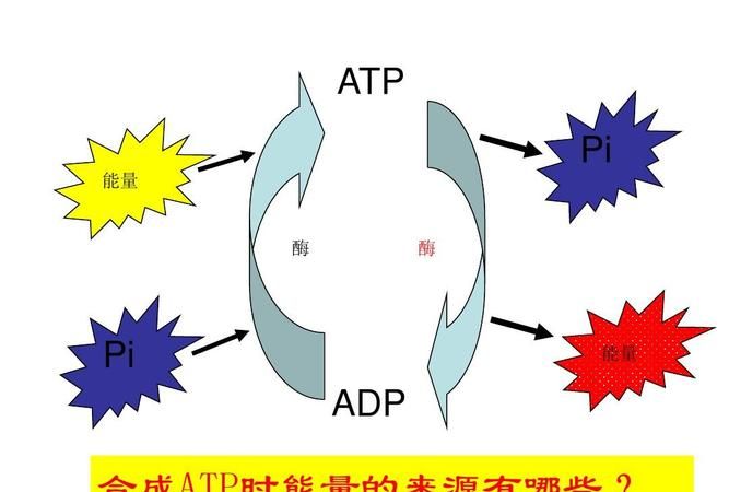 酶在催化作用时，本身需要消耗atp吗