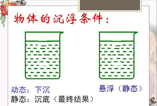 利用身边物品探究物体的浮沉条件