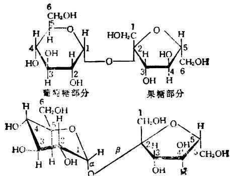 什么溶液的颜色与还原糖含量成正比