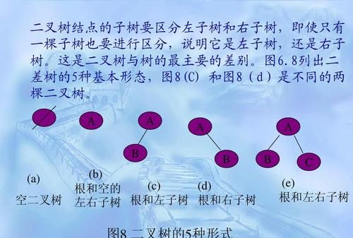 一棵大树的形状由什么组成科学