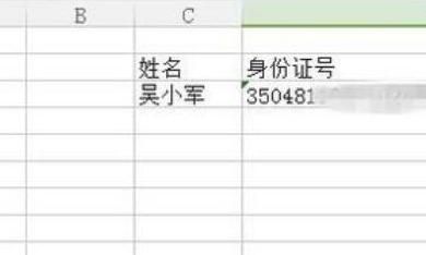 怎样在excel里输入身份证号
，怎样在excel里输入身份证号？图14